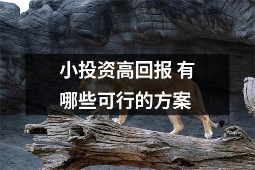 小投资高回报 有哪些可行的方案 