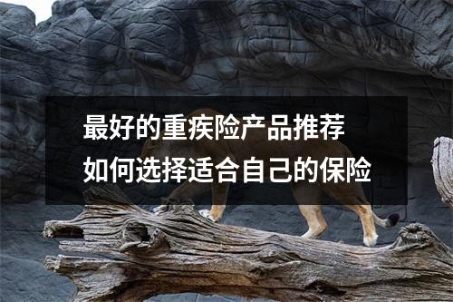 最好的重疾险产品推荐 如何选择适合自己的保险
