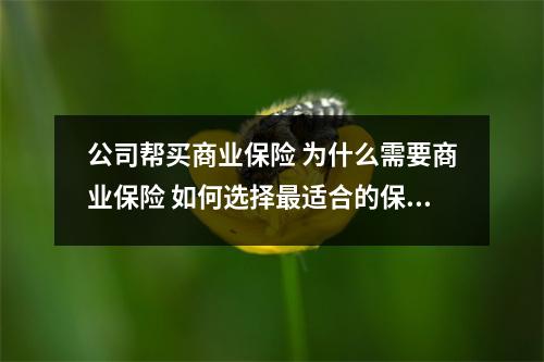 公司帮买商业保险 为什么需要商业保险 如何选择最适合的保险方案