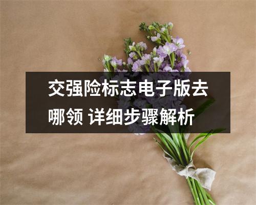 交强险标志电子版去哪领 详细步骤解析