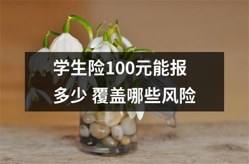学生险100元能报多少 覆盖哪些风险