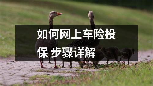 如何网上车险投保 步骤详解