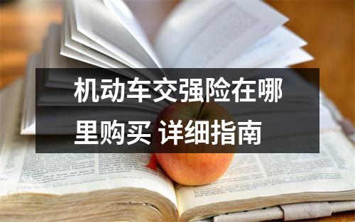 机动车交强险在哪里购买 详细指南