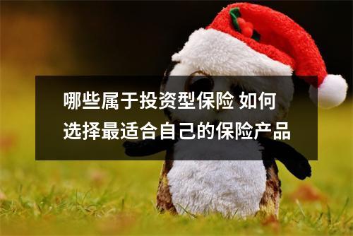 哪些属于投资型保险 如何选择最适合自己的保险产品