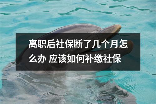 离职后社保断了几个月怎么办 应该如何补缴社保