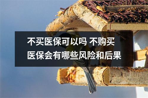 不买医保可以吗 不购买医保会有哪些风险和后果