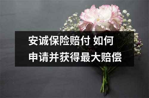 安诚保险赔付 如何申请并获得最大赔偿