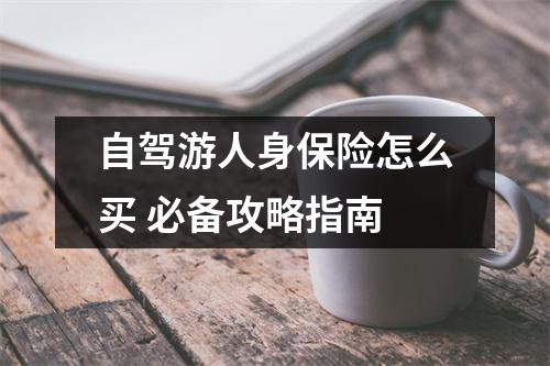 自驾游人身保险怎么买 必备攻略指南