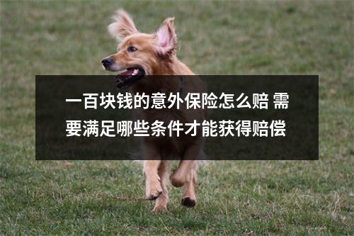 一百块钱的意外保险怎么赔 需要满足哪些条件才能获得赔偿