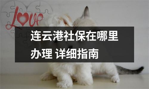 连云港社保在哪里办理 详细指南