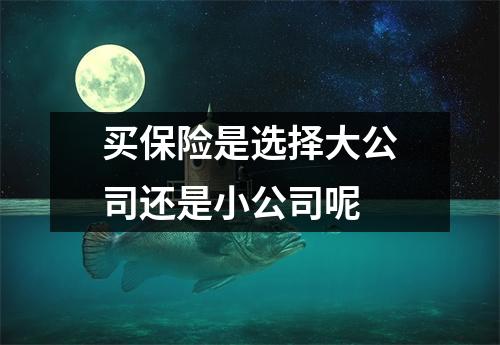 买保险是选择大公司还是小公司呢