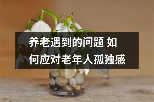养老遇到的问题 如何应对老年人孤独感