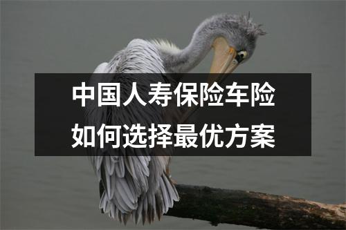 中国人寿保险车险如何选择最优方案