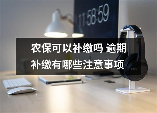 农保可以补缴吗 逾期补缴有哪些注意事项