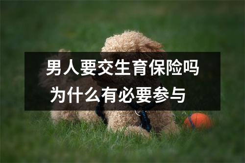 男人要交生育保险吗 为什么有必要参与