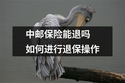 中邮保险能退吗 如何进行退保操作