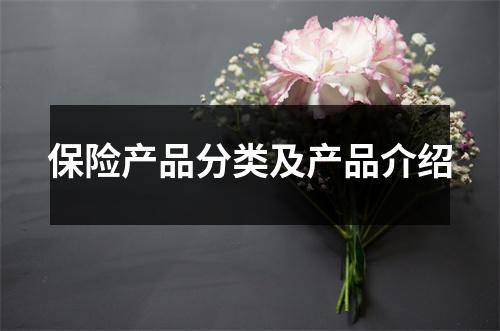 保险产品分类及产品介绍