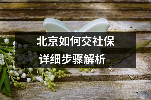北京如何交社保 详细步骤解析