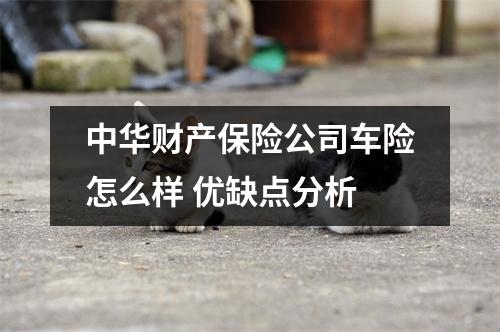 中华财产保险公司车险怎么样 优缺点分析