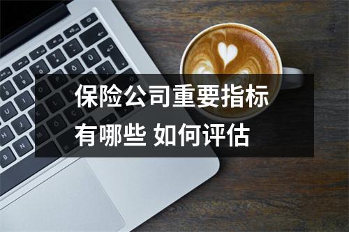 保险公司重要指标 有哪些 如何评估