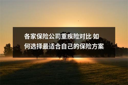 各家保险公司重疾险对比 如何选择最适合自己的保险方案