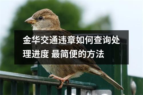 金华交通违章如何查询处理进度 最简便的方法