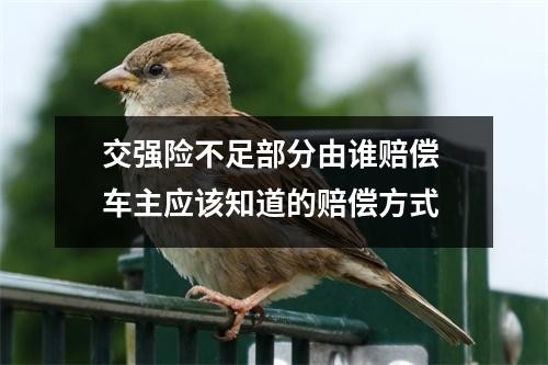 交强险不足部分由谁赔偿 车主应该知道的赔偿方式