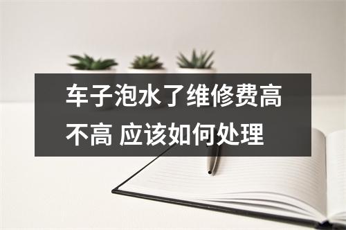车子泡水了维修费高不高 应该如何处理