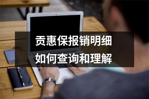 贡惠保报销明细 如何查询和理解