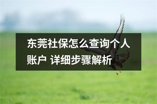 东莞社保怎么查询个人账户 详细步骤解析