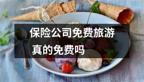 保险公司免费旅游 真的免费吗 