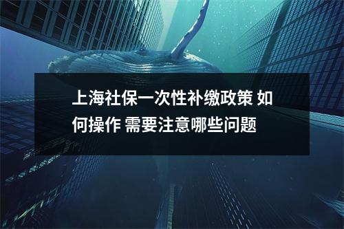上海社保一次性补缴政策 如何操作 需要注意哪些问题 