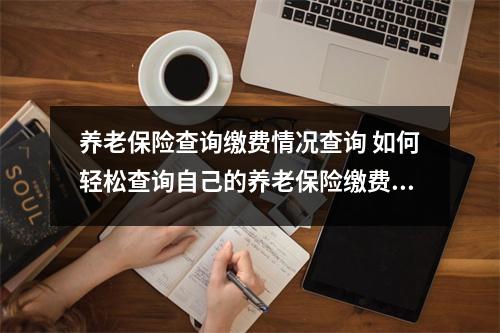 养老保险查询缴费情况查询 如何轻松查询自己的养老保险缴费记录