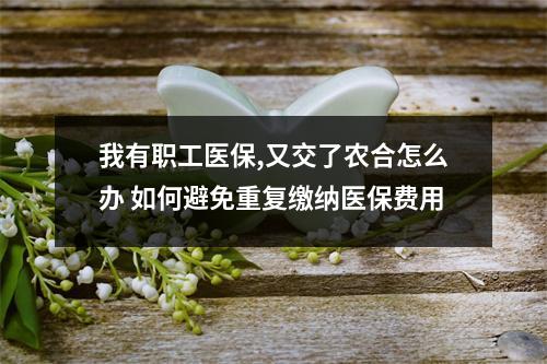 我有职工医保,又交了农合怎么办 如何避免重复缴纳医保费用