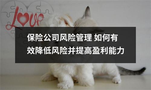 保险公司风险管理 如何有效降低风险并提高盈利能力