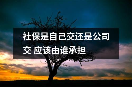 社保是自己交还是公司交 应该由谁承担 