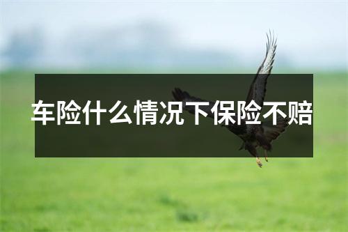 车险什么情况下保险不赔 