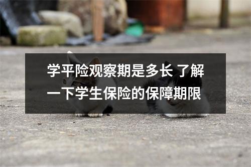 学平险观察期是多长 了解一下学生保险的保障期限