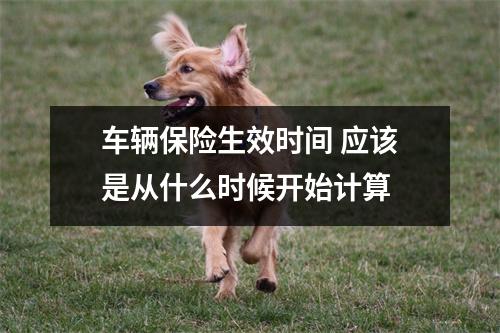 车辆保险生效时间 应该是从什么时候开始计算 