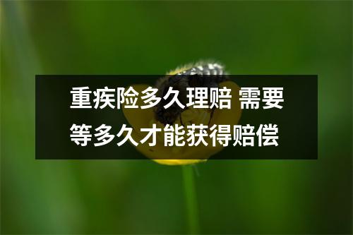 重疾险多久理赔 需要等多久才能获得赔偿
