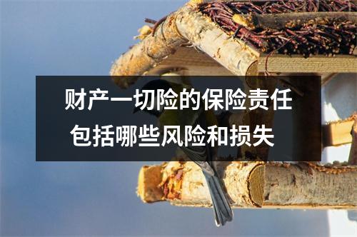 财产一切险的保险责任 包括哪些风险和损失