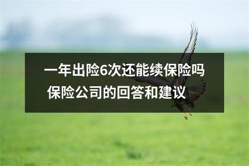 一年出险6次还能续保险吗 保险公司的回答和建议