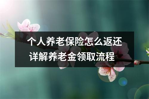 个人养老保险怎么返还 详解养老金领取流程