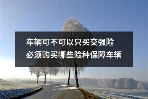 车辆可不可以只买交强险 必须购买哪些险种保障车辆