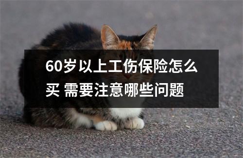 60岁以上工伤保险怎么买 需要注意哪些问题
