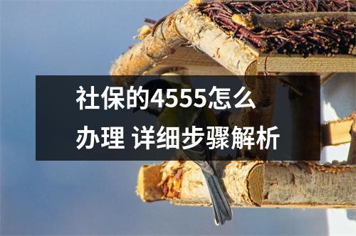 社保的4555怎么办理 详细步骤解析