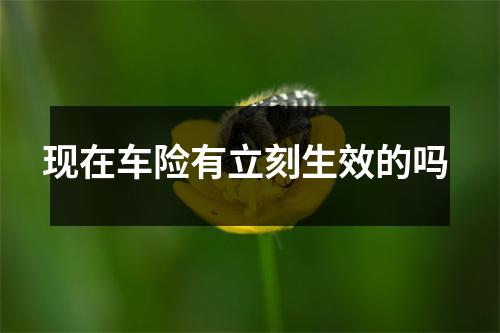 现在车险有立刻生效的吗 