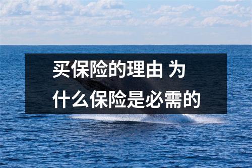 买保险的理由 为什么保险是必需的