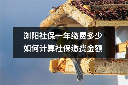 浏阳社保一年缴费多少 如何计算社保缴费金额