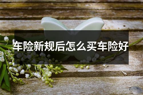 车险新规后怎么买车险好